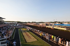 Darwin Cup